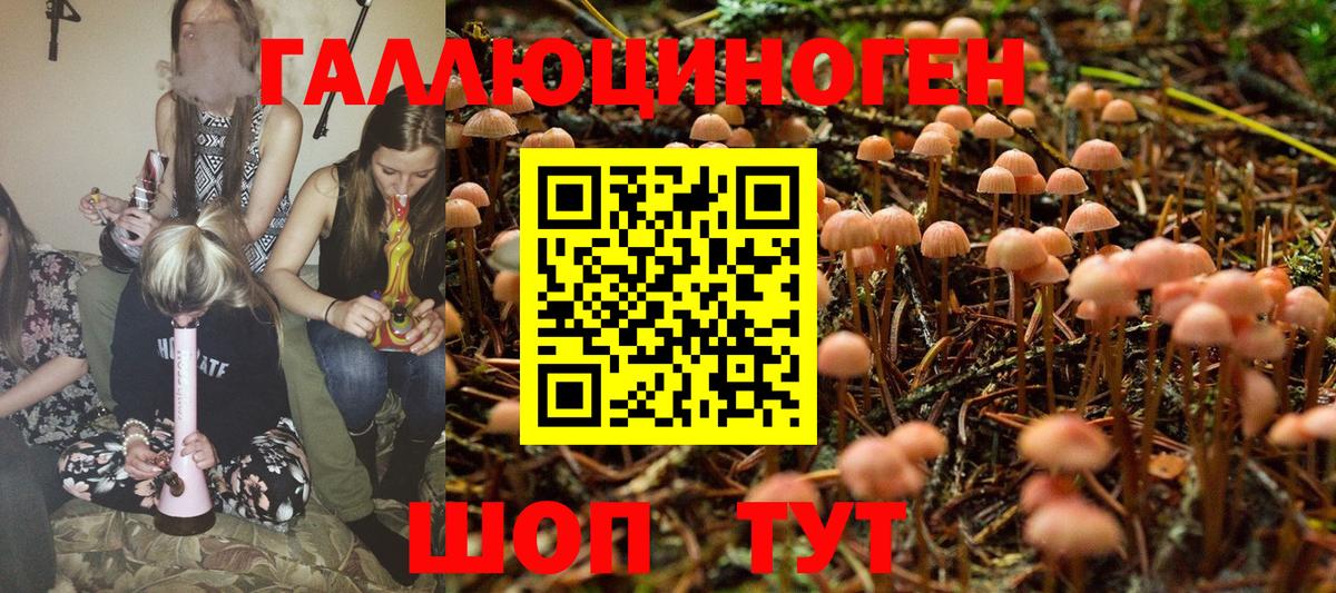 Псилоцибиновые грибы ЛСД Заречный