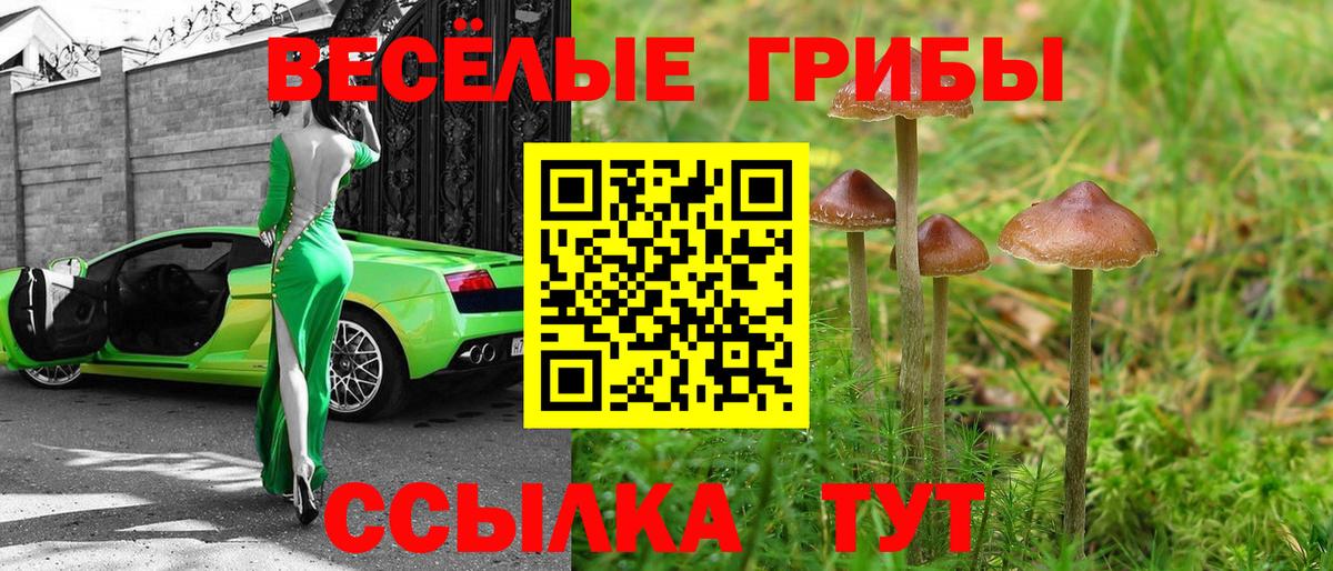 Заречный  Псилоцибиновые грибы Cubensis  Галлюциногенные грибы прущие грибы  Вход с VPN 